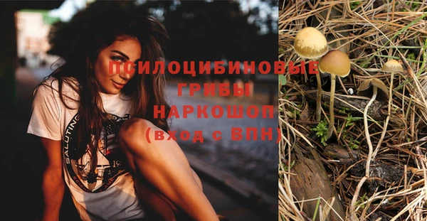 твердый Балабаново