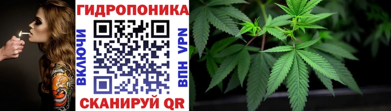 Каннабис Bruce Banner  Печора 